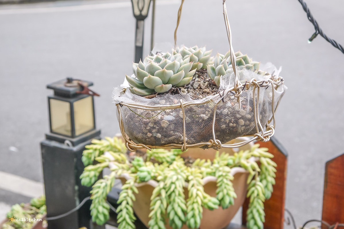 比臉還長的大魷魚整尾霸氣上桌！花蓮富里「富鄉咖啡食堂」魷魚+義大利麵或燉飯(附飲品)只要280元，CP值超高～