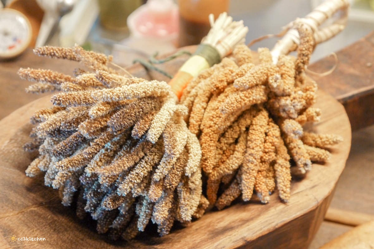 台東慢食評鑑二星早午餐「台東有知鳥hiii birdie」，隱藏在舊糖廠東糖文創園區裡的特色餐廳，選物空間、書店、工藝創作。