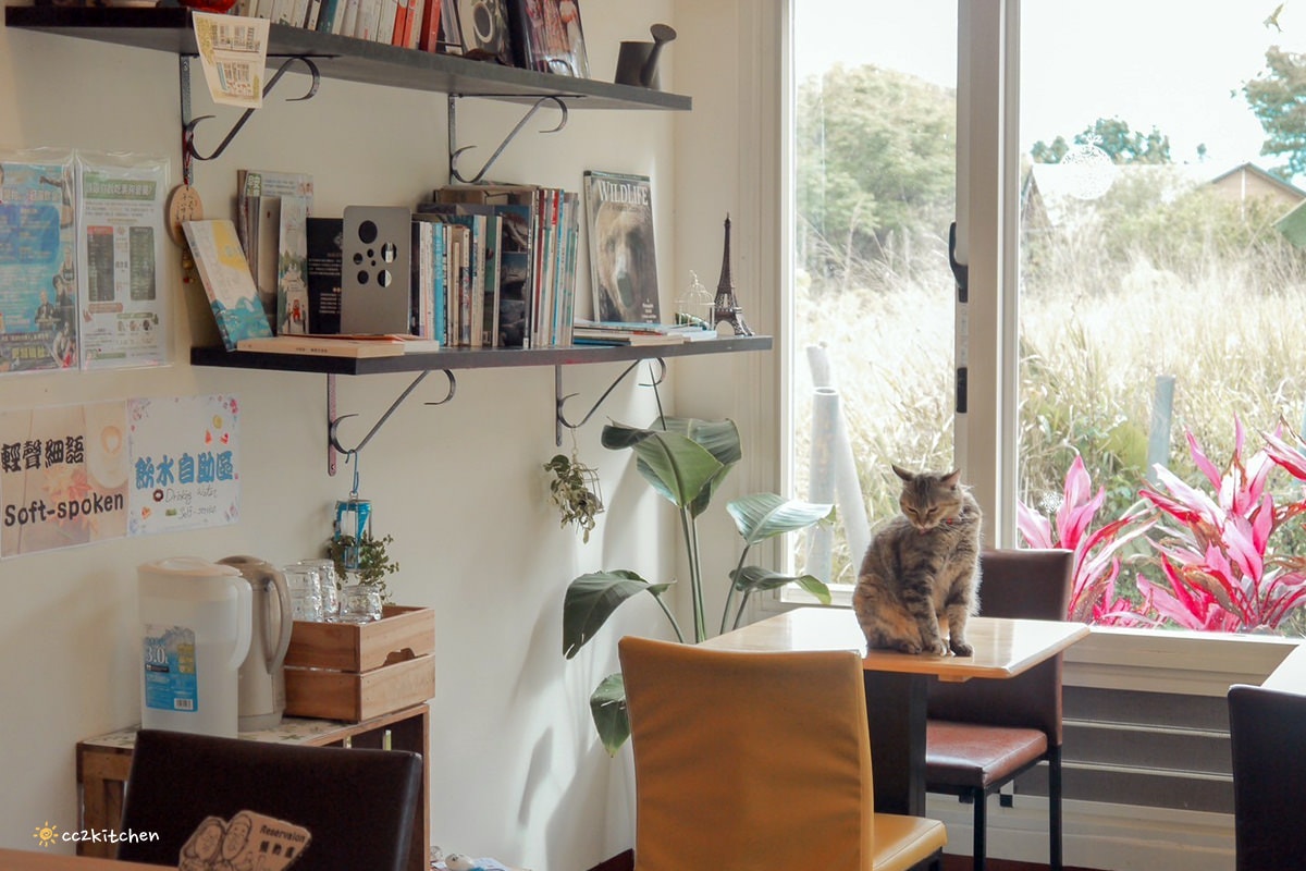隱藏在花東縱谷裡的貓咪咖啡廳！玉里「誠家綠葉」鐵道第一排鄉間咖啡，與親人的貓咪互動、近距離看火車奔馳、品嘗美味下午茶！