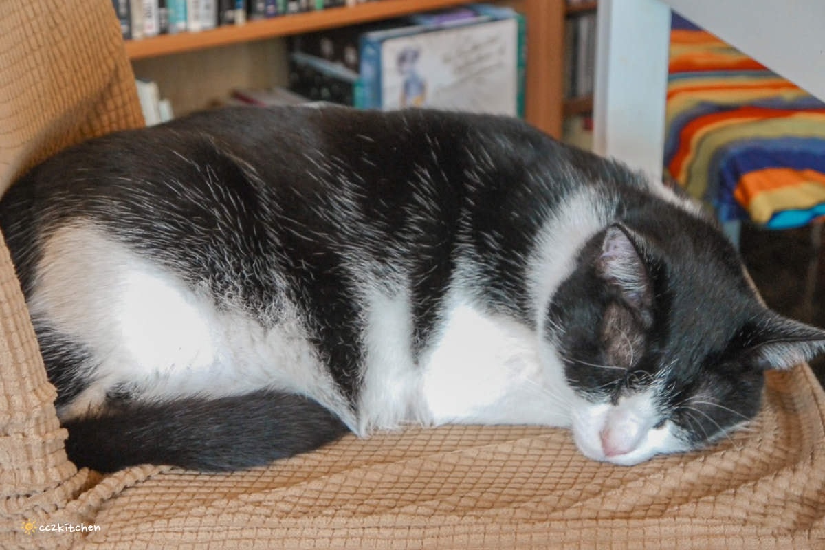 來去深山住一晚！花東輕旅行提案：花東縱谷、東海岸、玉長公路兩天一夜遊記（含美食、景點、交通、住宿完整介紹）