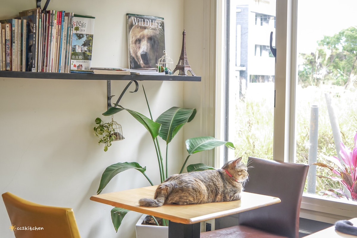 隱藏在花東縱谷裡的貓咪咖啡廳！玉里「誠家綠葉」鐵道第一排鄉間咖啡，與親人的貓咪互動、近距離看火車奔馳、品嘗美味下午茶！
