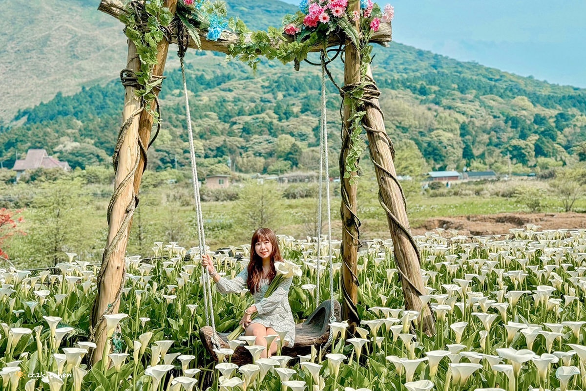 【2024陽明山竹子湖海芋季】名陽匍休閒農莊夢幻海芋田～網美盪鞦韆、童趣發條噗噗車造景，超好拍！入園可帶海芋回家。