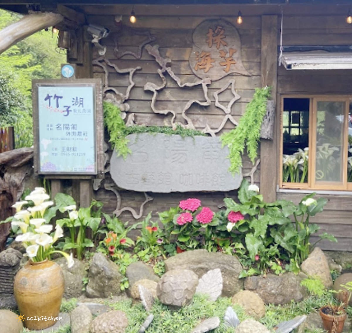 【2024陽明山竹子湖海芋季】名陽匍休閒農莊夢幻海芋田～網美盪鞦韆、童趣發條噗噗車造景，超好拍！入園可帶海芋回家。