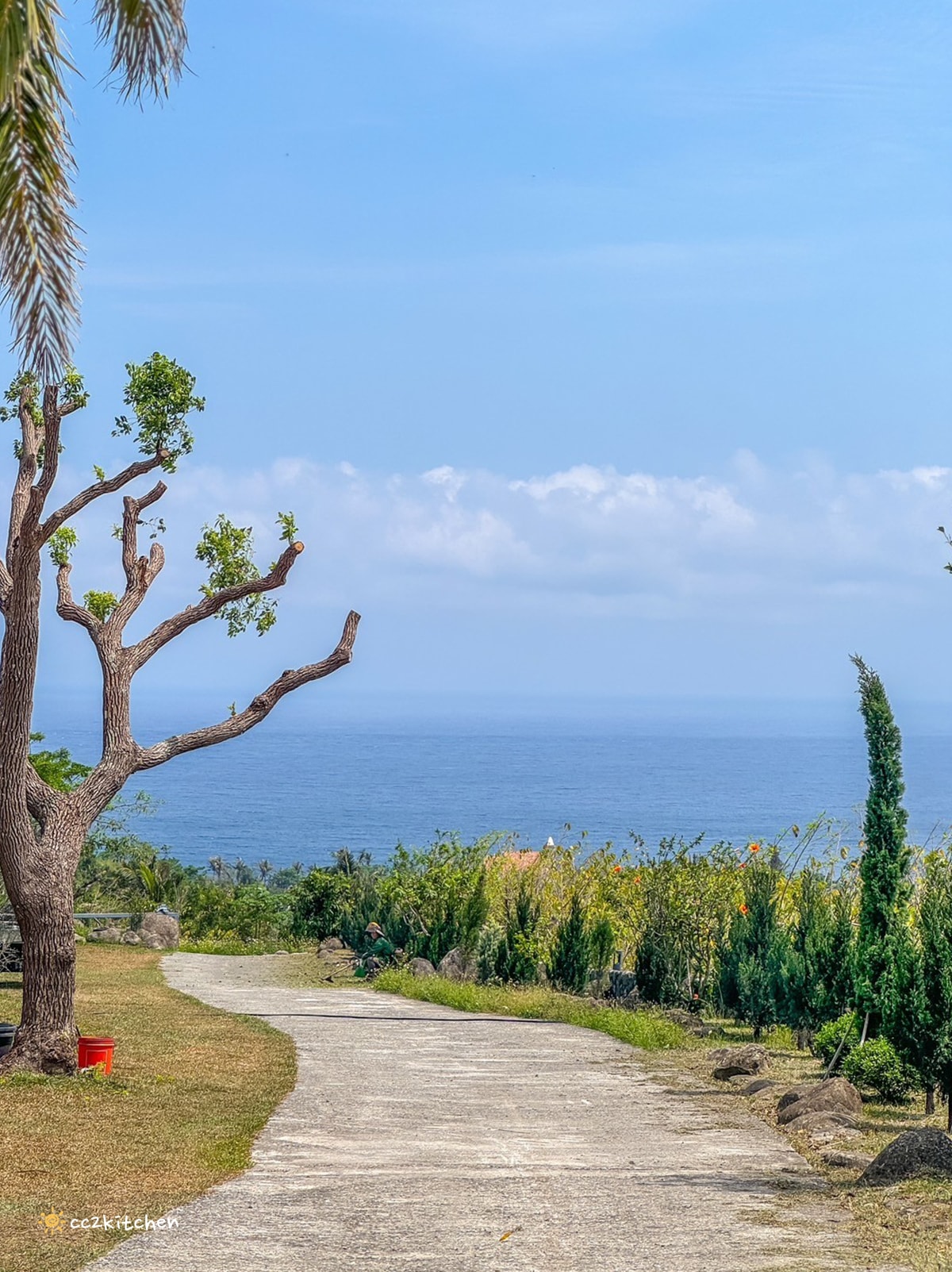 台東海景咖啡「沙伯迪澳橄欖莊園SOBDEALL」，都蘭山下的秘境咖啡，依山傍海坐擁蔚藍海景與蒼鬱山景。