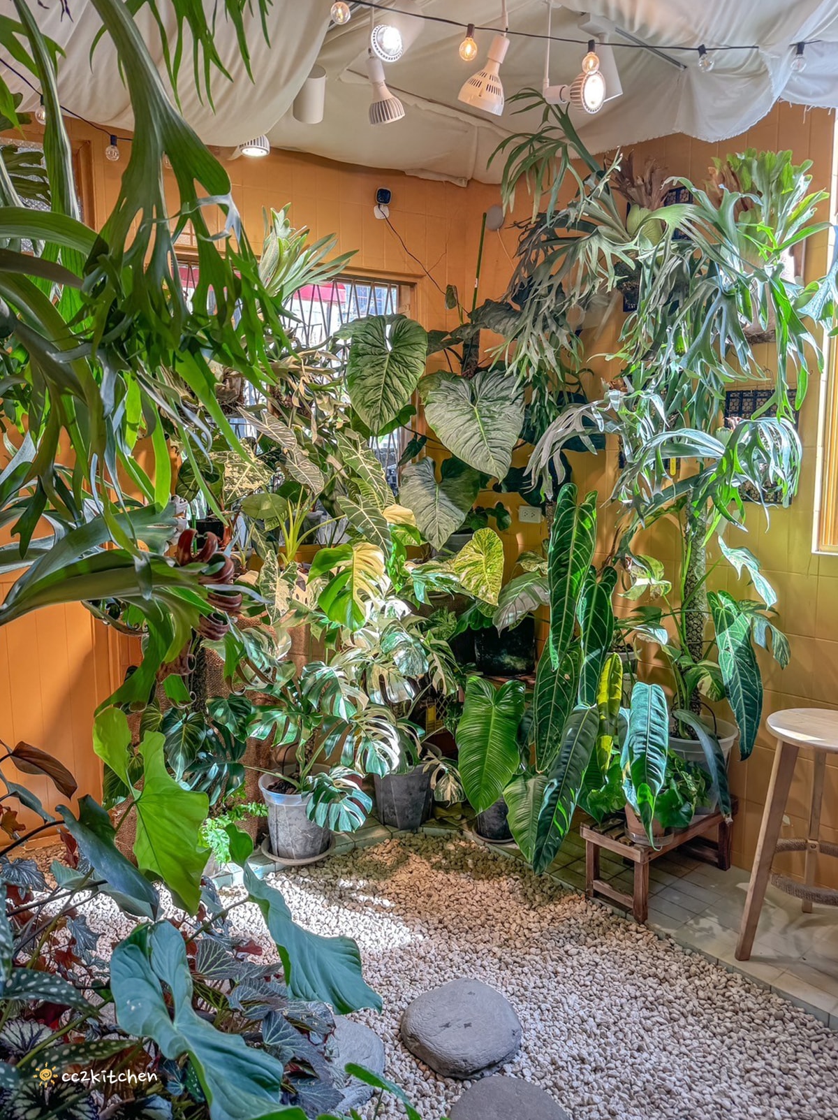 台東叢林風網美咖啡店！「一塊甜地」植物系、文青裝潢，造型LOGO舒芙蕾可愛吸睛又美味～