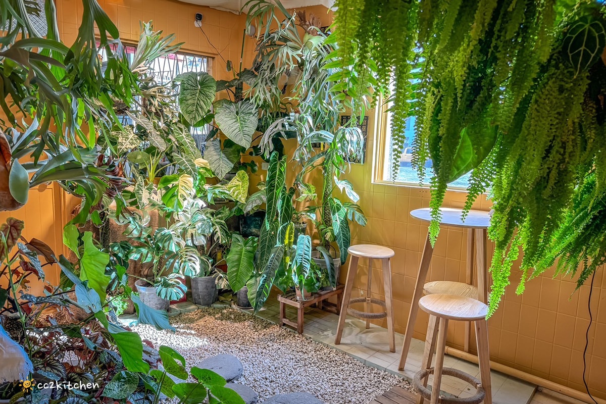 台東叢林風網美咖啡店！「一塊甜地」植物系、文青裝潢，造型LOGO舒芙蕾可愛吸睛又美味～