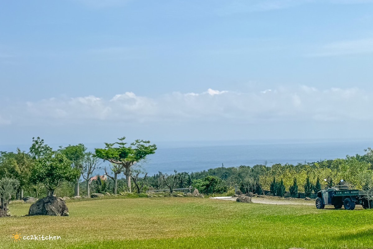 台東海景咖啡「沙伯迪澳橄欖莊園SOBDEALL」，都蘭山下的秘境咖啡，依山傍海坐擁蔚藍海景與蒼鬱山景。