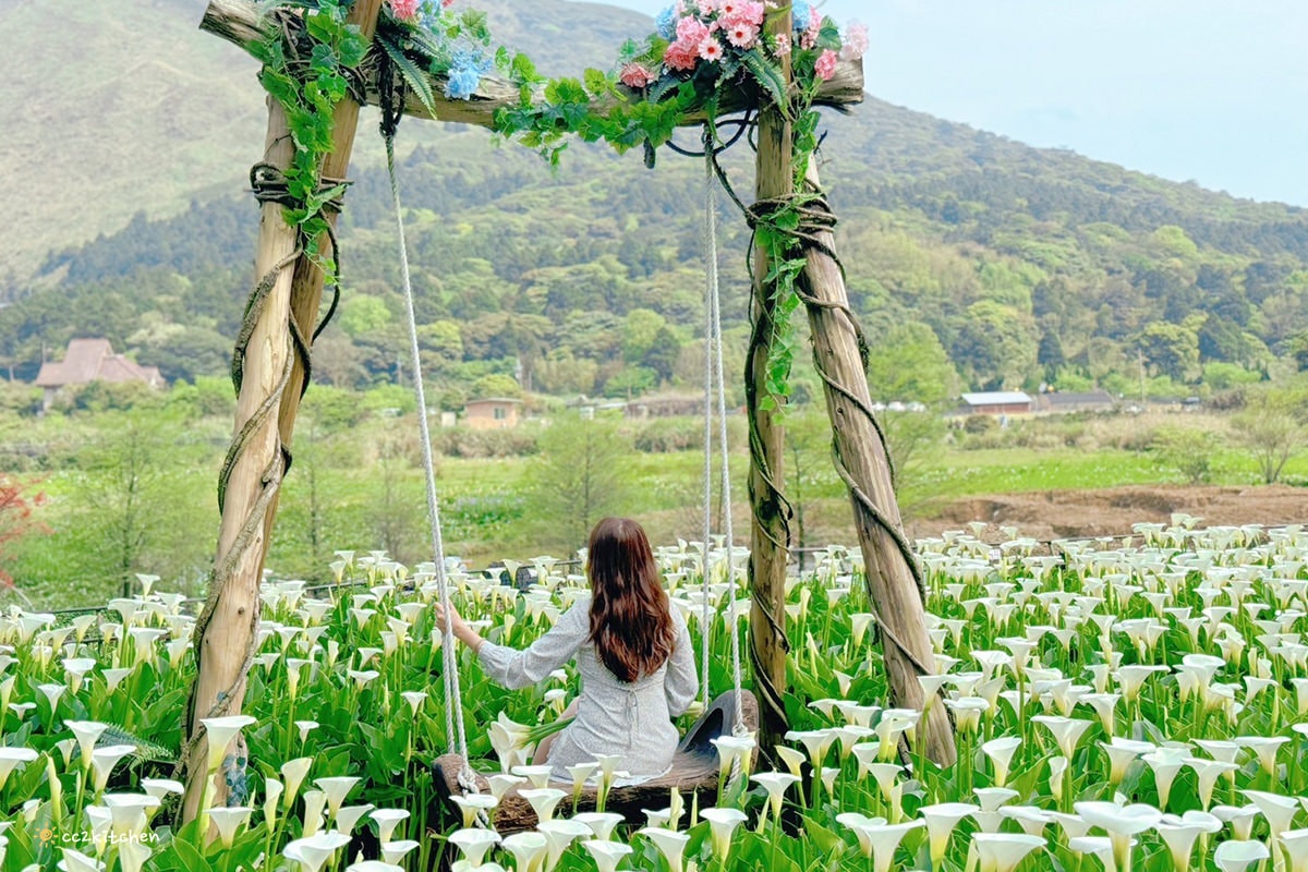 【2024陽明山竹子湖海芋季】名陽匍休閒農莊夢幻海芋田～網美盪鞦韆、童趣發條噗噗車造景，超好拍！入園可帶海芋回家。