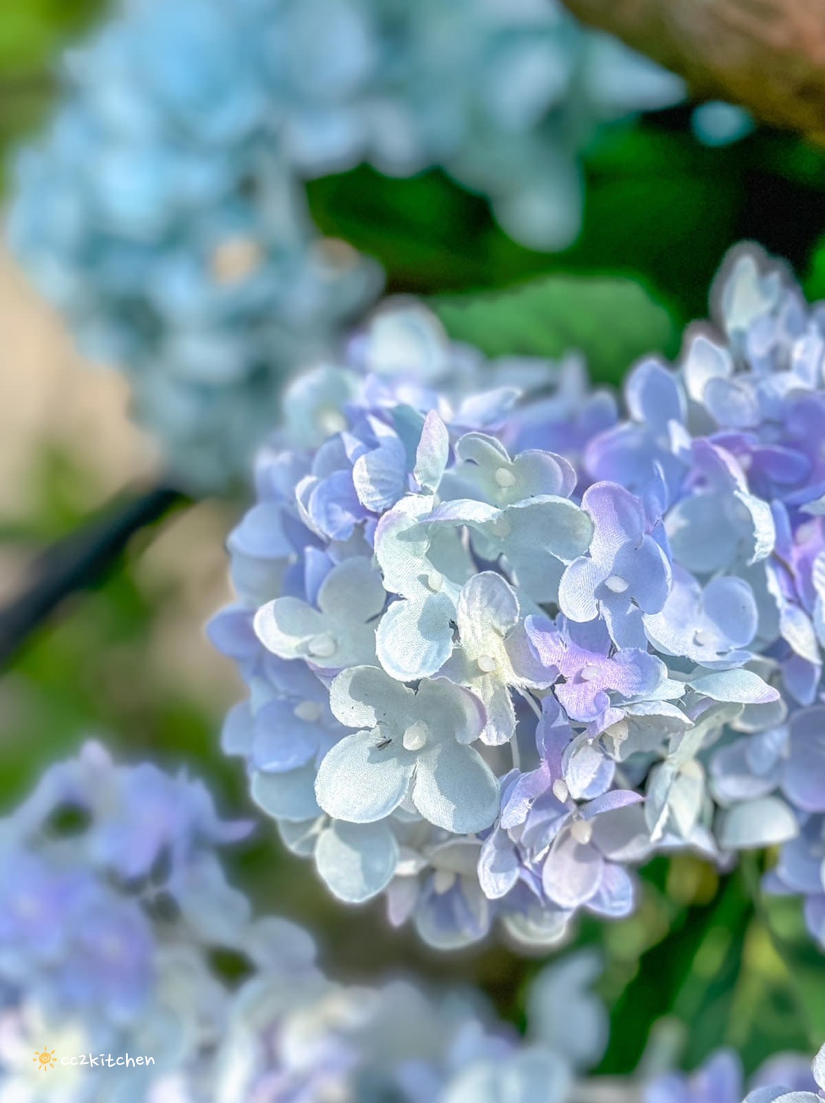 【2024陽明山竹子湖海芋季】名陽匍休閒農莊夢幻海芋田～網美盪鞦韆、童趣發條噗噗車造景，超好拍！入園可帶海芋回家。