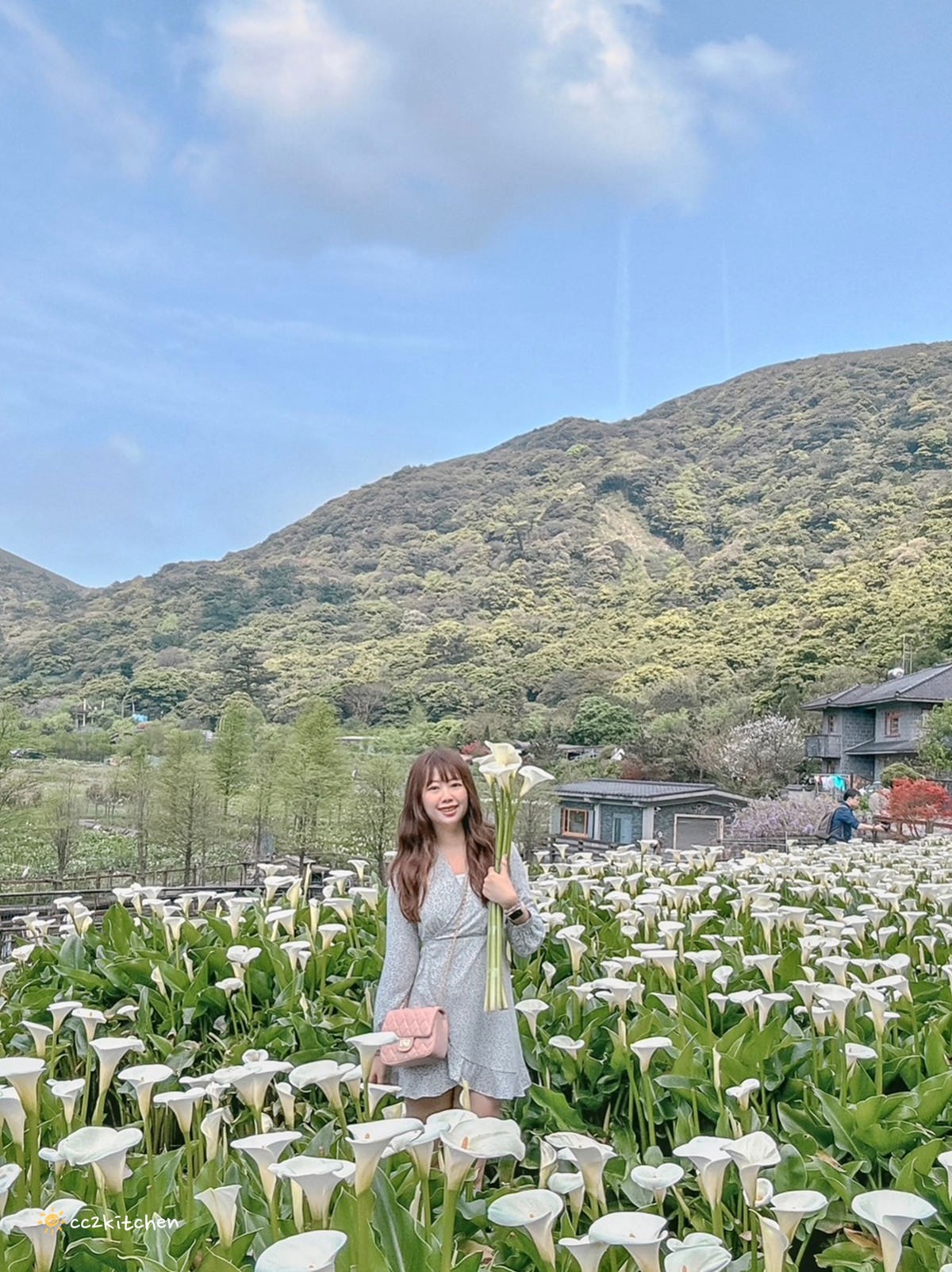 【2024陽明山竹子湖海芋季】名陽匍休閒農莊夢幻海芋田～網美盪鞦韆、童趣發條噗噗車造景，超好拍！入園可帶海芋回家。