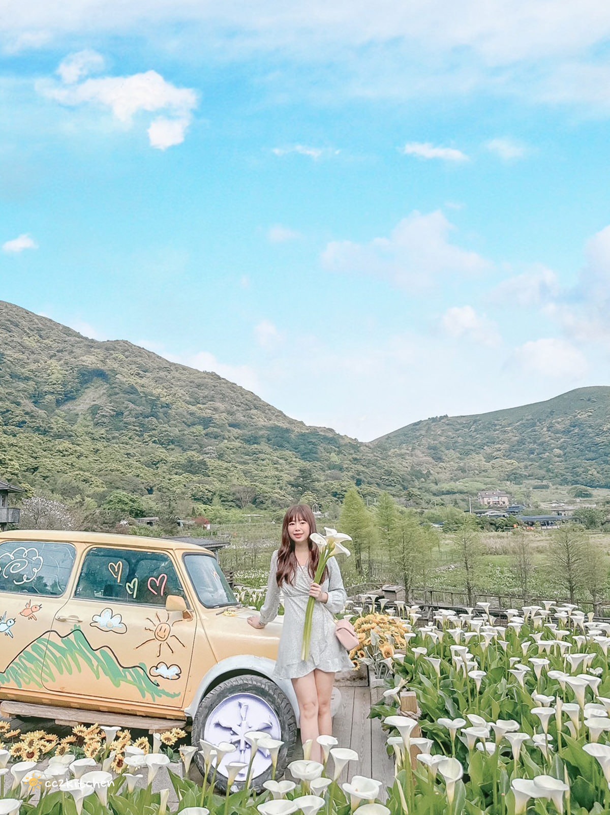 【2024陽明山竹子湖海芋季】名陽匍休閒農莊夢幻海芋田～網美盪鞦韆、童趣發條噗噗車造景，超好拍！入園可帶海芋回家。