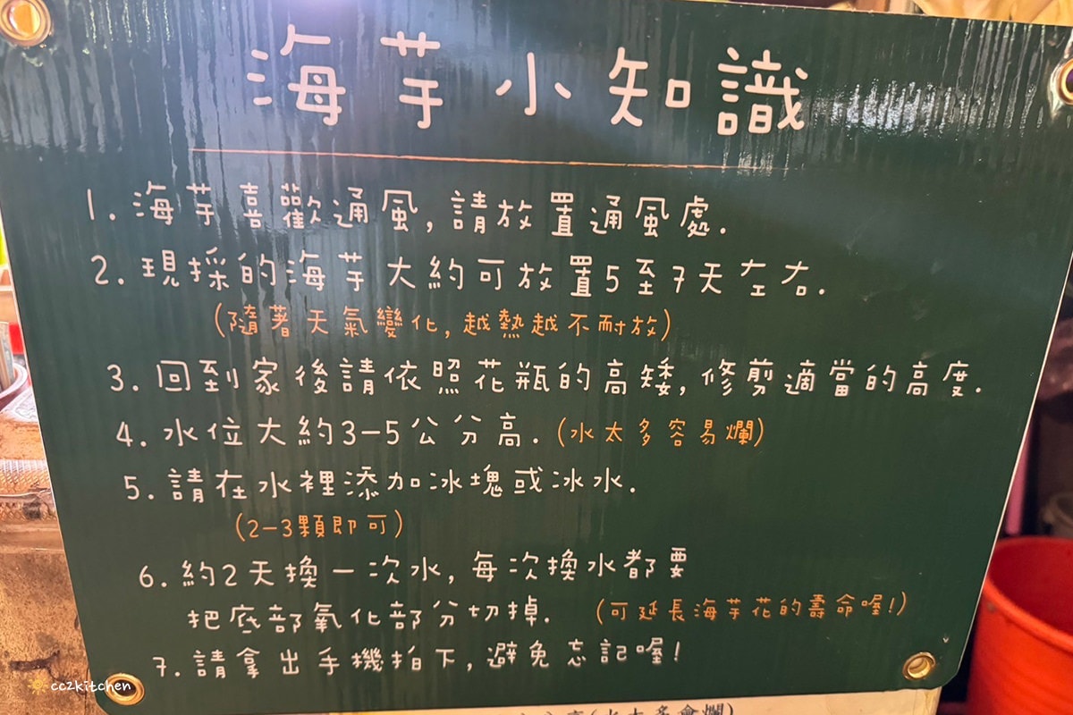 【2024陽明山竹子湖海芋季】名陽匍休閒農莊夢幻海芋田～網美盪鞦韆、童趣發條噗噗車造景，超好拍！入園可帶海芋回家。