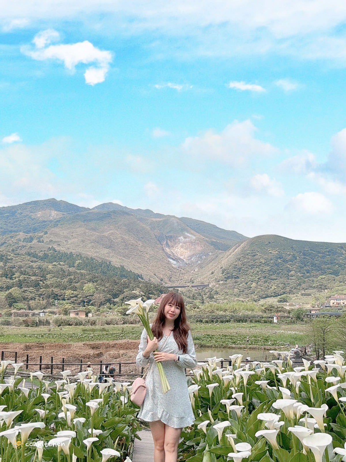 【2024陽明山竹子湖海芋季】名陽匍休閒農莊夢幻海芋田～網美盪鞦韆、童趣發條噗噗車造景，超好拍！入園可帶海芋回家。