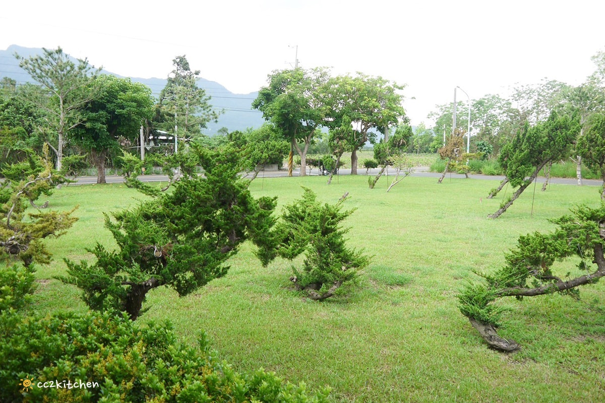 台東鹿野咖啡廳「旅圖法點咖啡」，藍綠色貨櫃風建築與青青草原庭院，鹿野午後下午茶的好去處！地點鄰近鹿野神社、龍田國小、鹿野高台。