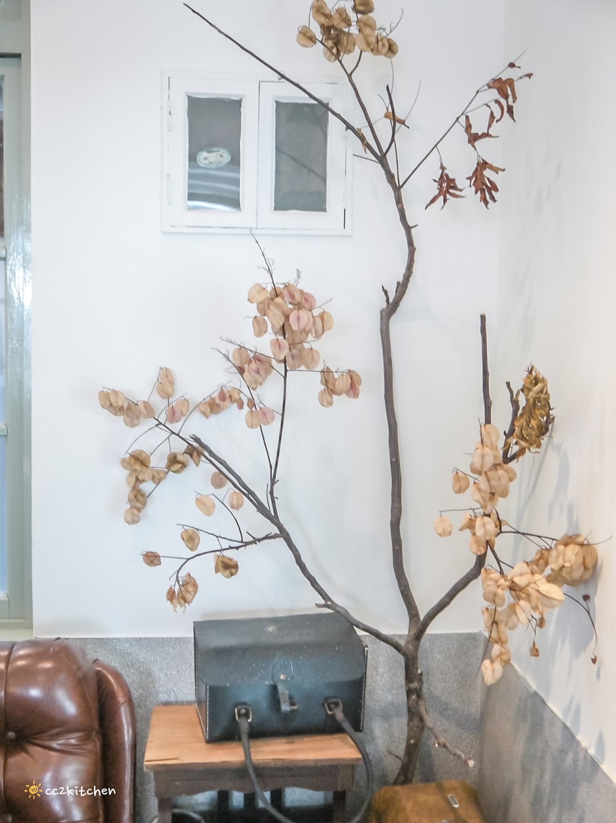 台東成功「眺港café」全台首家60年老診所改建的咖啡廳～中醫師接手跨域發展，將漢方茶融入咖啡店菜單，成功特色咖啡推薦。