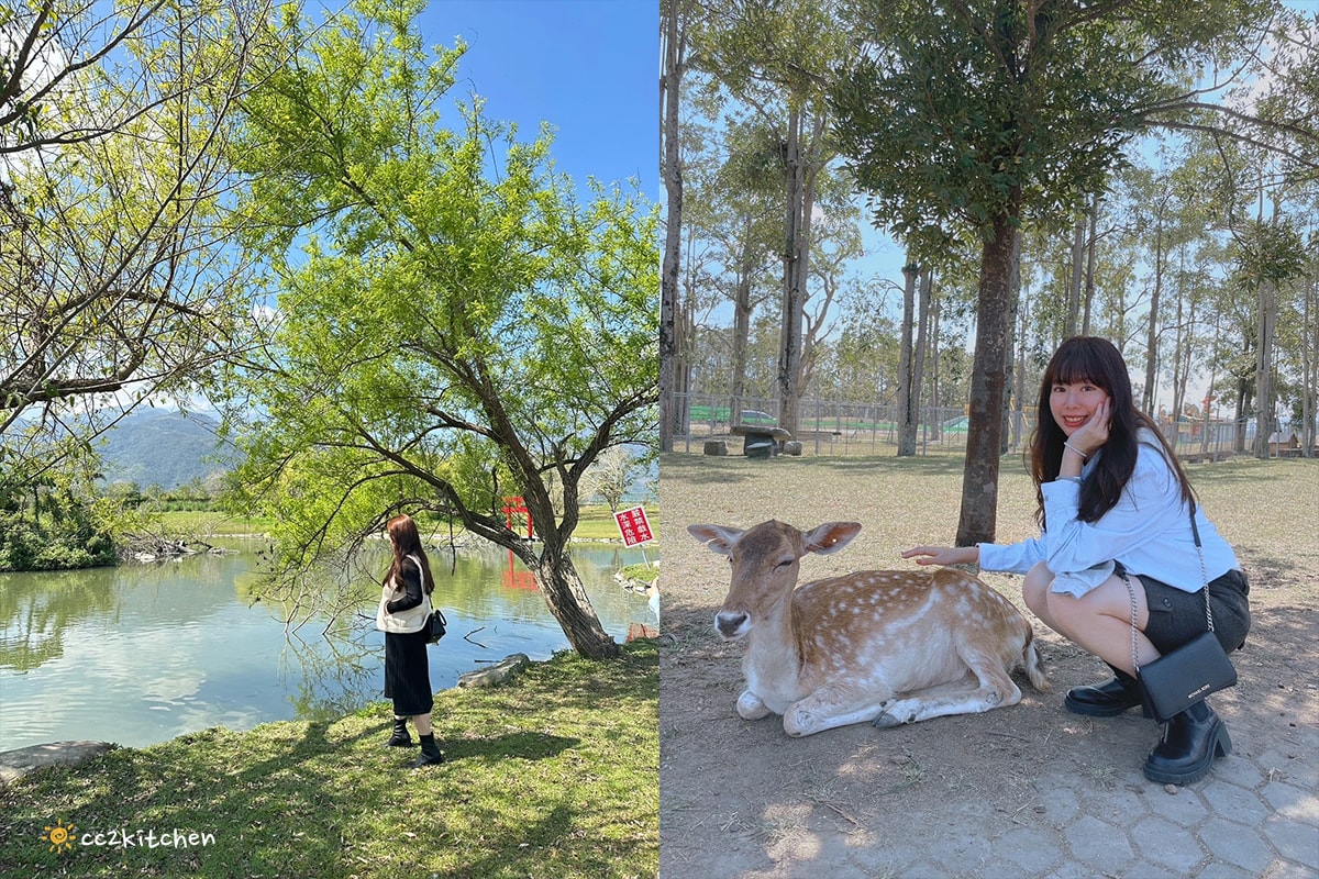 2024最新「臺灣國際熱氣球嘉年華」就在台東鹿野高台~7/6-8/19追球攻略(含光雕音樂會、交通接駁、美食景點、無人機、煙火秀) - 第26張圖 2024最新「臺灣國際熱氣球嘉年華」就在台東鹿野高台~7/6-8/19追球攻略(含光雕音樂會、交通接駁、美食景點、無人機、煙火秀)