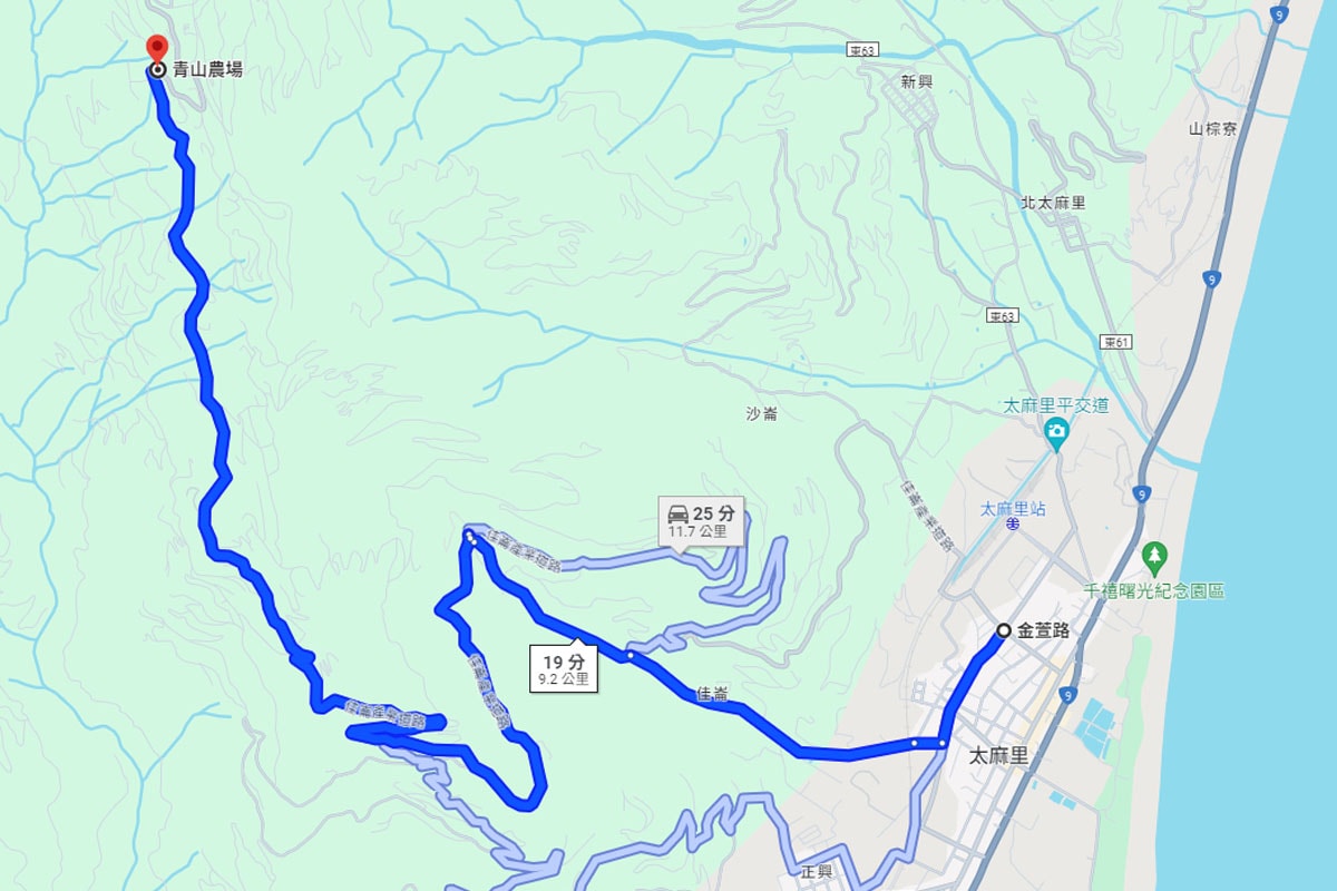2024台東繡球花盛開中！太麻里金針山「青山農場」夢幻繡球步道，宛如人間仙境！夏日避暑好去處～