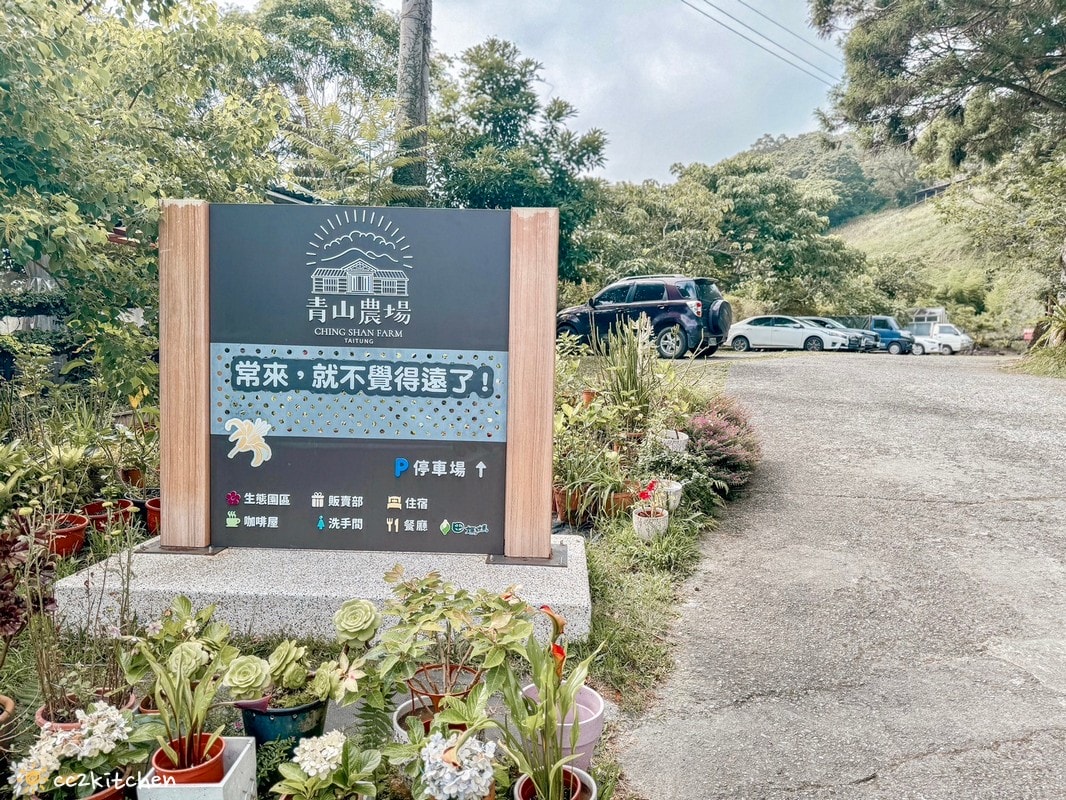 2024台東繡球花盛開中！太麻里金針山「青山農場」夢幻繡球步道，宛如人間仙境！夏日避暑好去處～