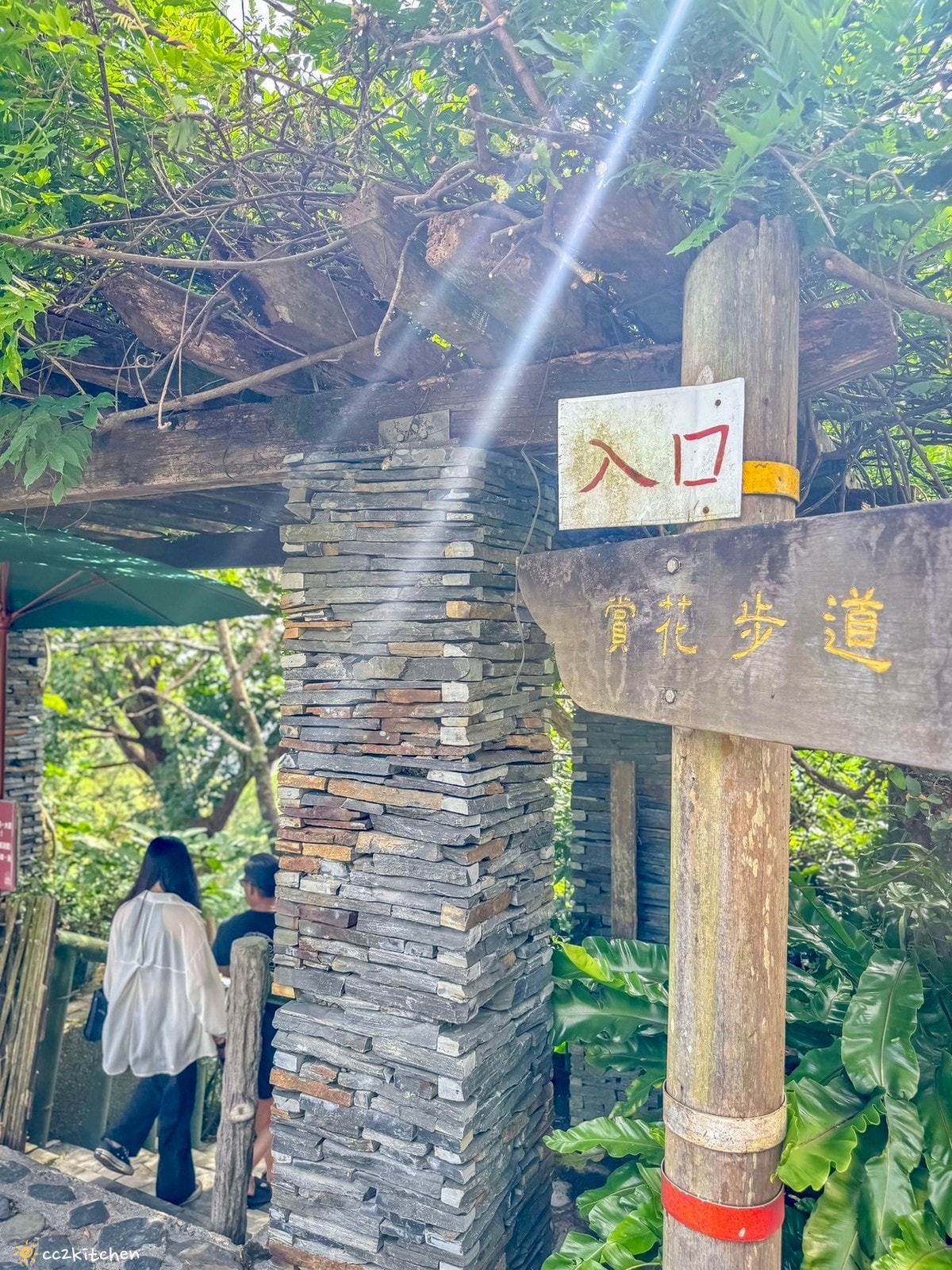 2024台東繡球花盛開中！太麻里金針山「青山農場」夢幻繡球步道，宛如人間仙境！夏日避暑好去處～