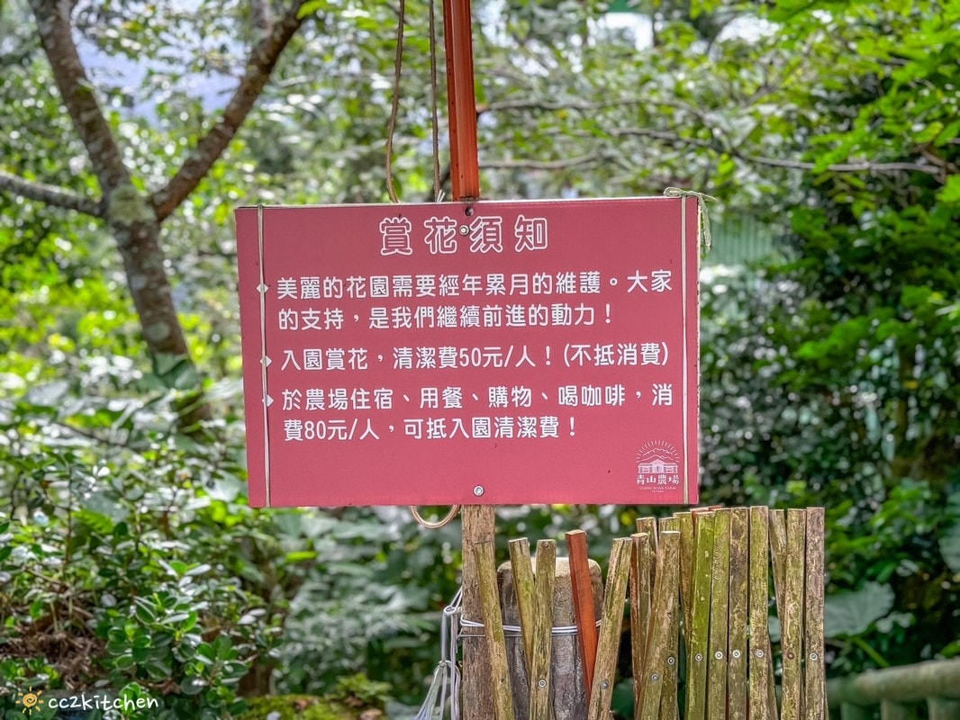 2024台東繡球花盛開中！太麻里金針山「青山農場」夢幻繡球步道，宛如人間仙境！夏日避暑好去處～