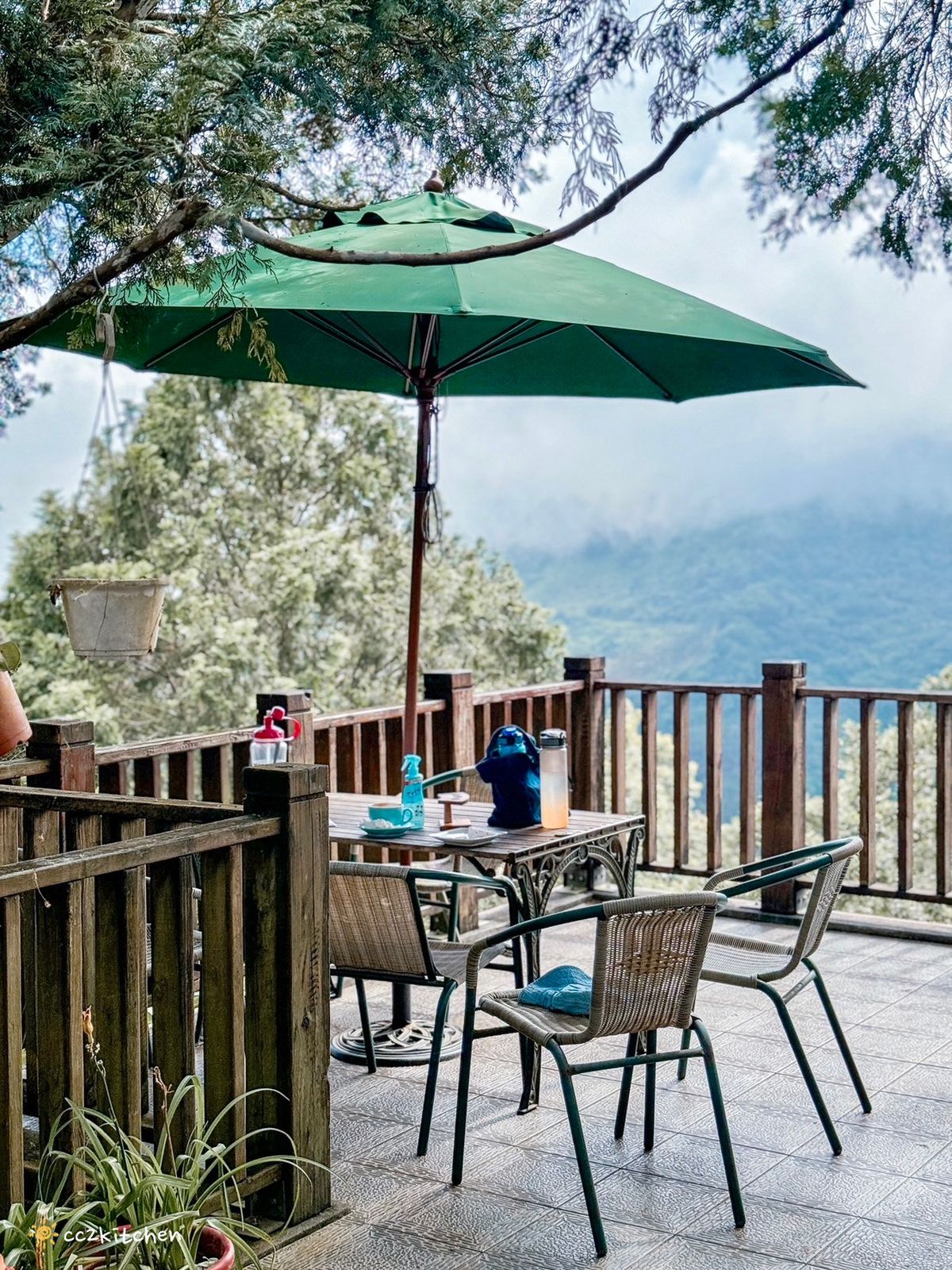 2024台東繡球花盛開中！太麻里金針山「青山農場」夢幻繡球步道，宛如人間仙境！夏日避暑好去處～