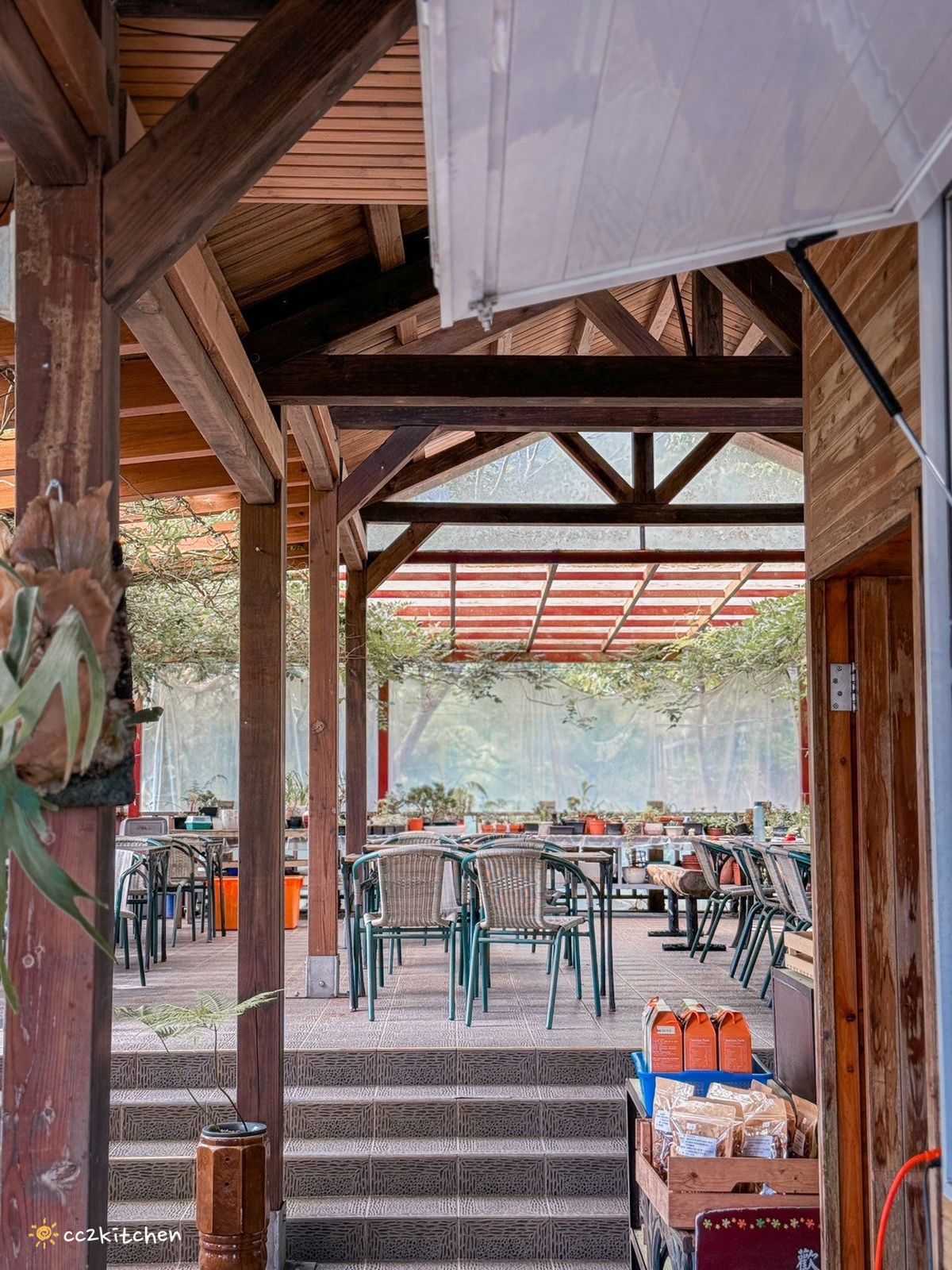 2024台東繡球花盛開中！太麻里金針山「青山農場」夢幻繡球步道，宛如人間仙境！夏日避暑好去處～