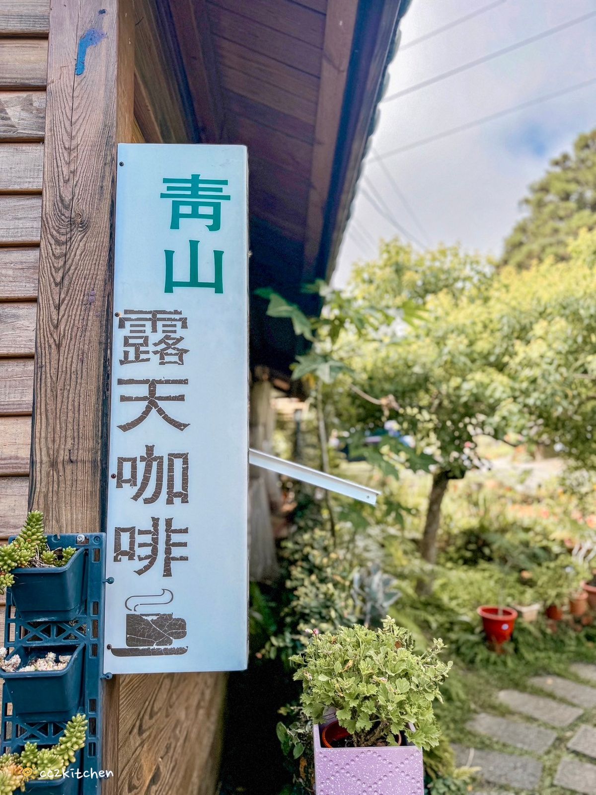 2024台東繡球花盛開中！太麻里金針山「青山農場」夢幻繡球步道，宛如人間仙境！夏日避暑好去處～