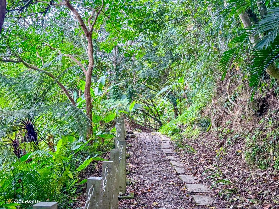 2024台東繡球花盛開中！太麻里金針山「青山農場」夢幻繡球步道，宛如人間仙境！夏日避暑好去處～