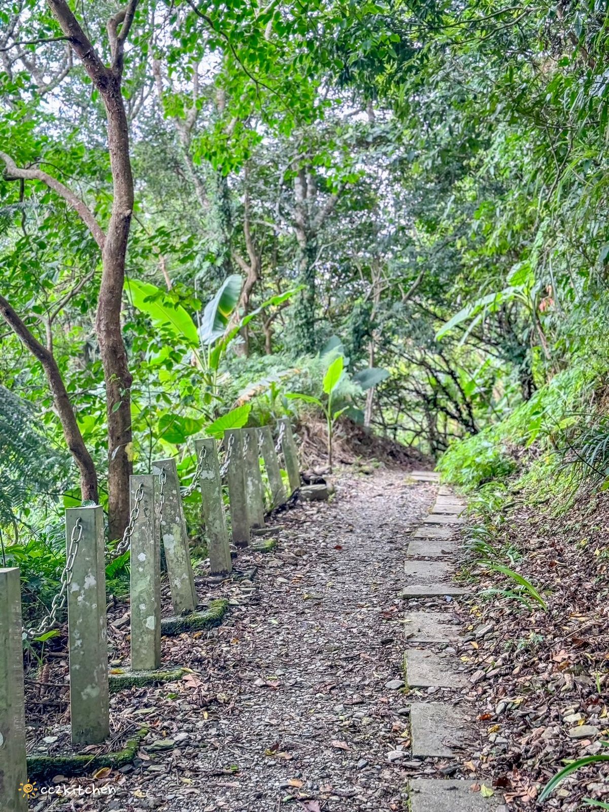2024台東繡球花盛開中！太麻里金針山「青山農場」夢幻繡球步道，宛如人間仙境！夏日避暑好去處～