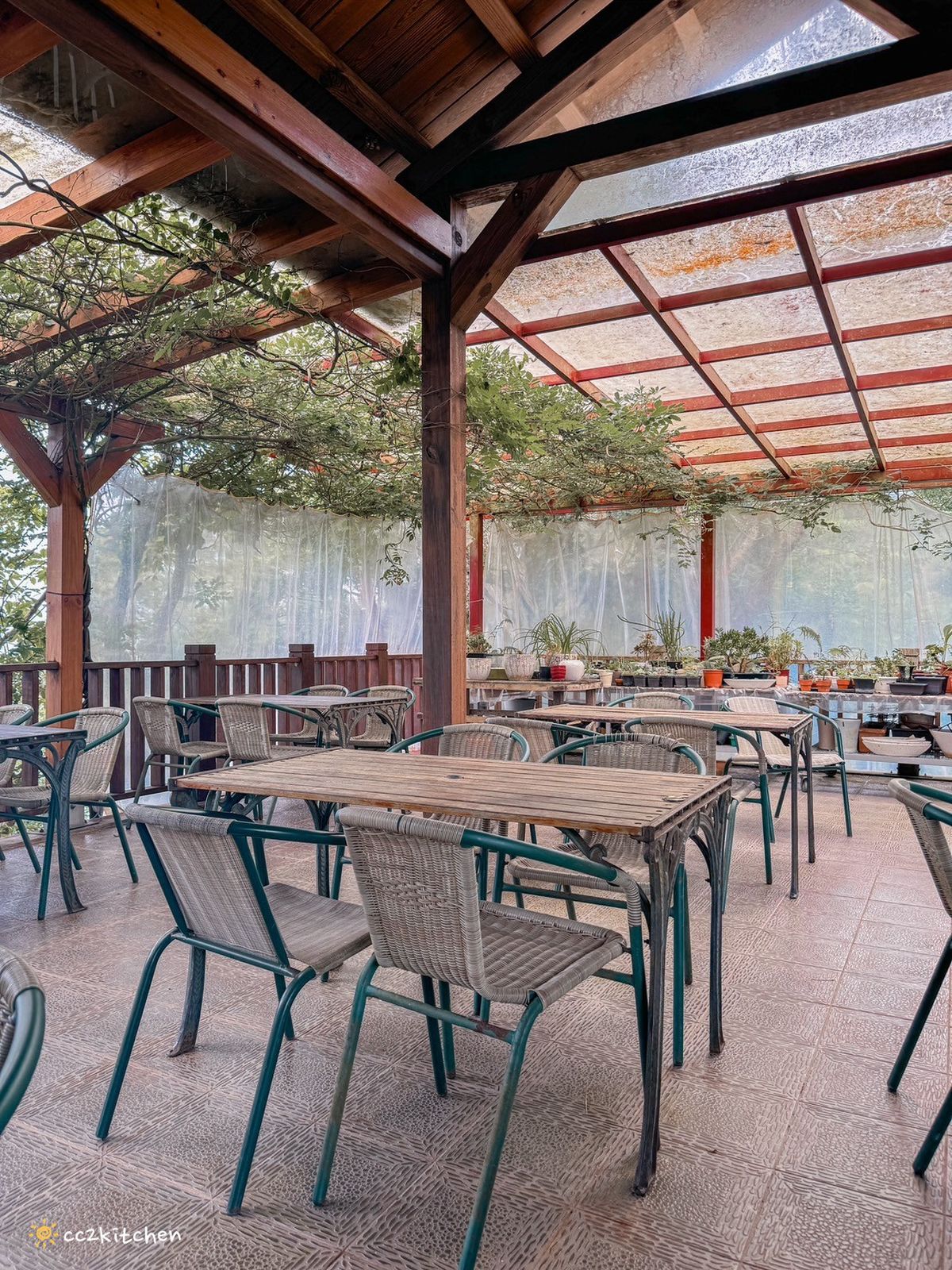 2024台東繡球花盛開中！太麻里金針山「青山農場」夢幻繡球步道，宛如人間仙境！夏日避暑好去處～