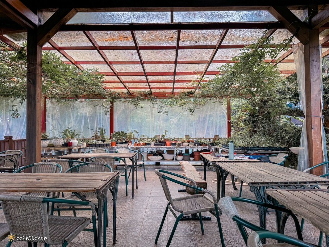 2024台東繡球花盛開中！太麻里金針山「青山農場」夢幻繡球步道，宛如人間仙境！夏日避暑好去處～