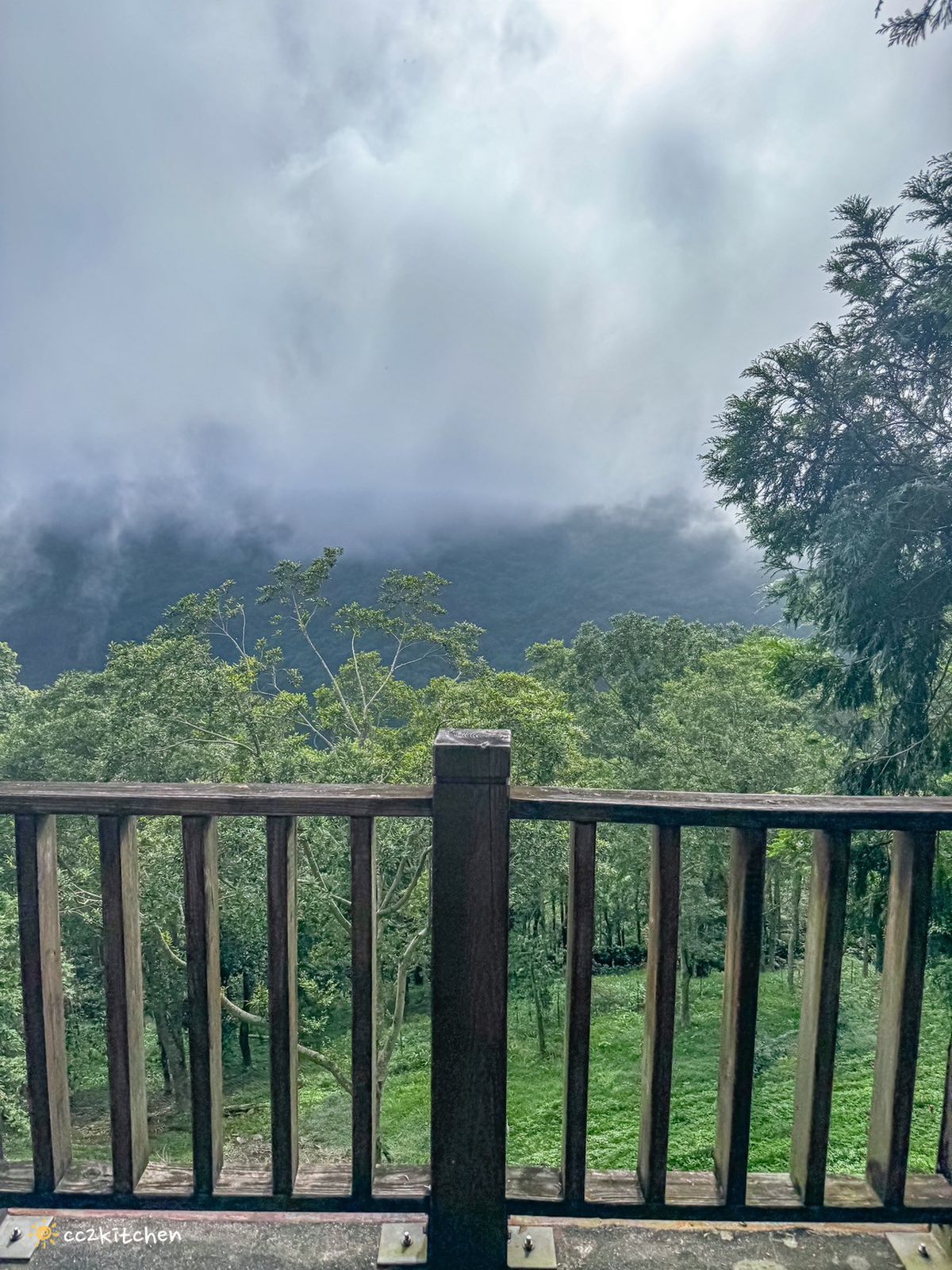 2024台東繡球花盛開中！太麻里金針山「青山農場」夢幻繡球步道，宛如人間仙境！夏日避暑好去處～