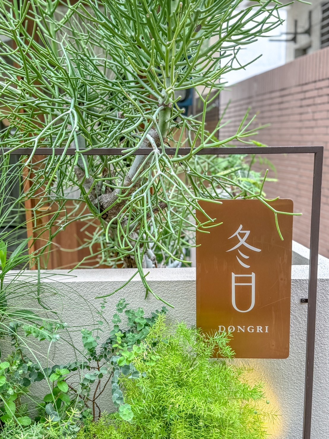 台南安平「冬日Dongri」巷弄中的網美老屋咖啡廳賣著中式家常料理,平日也要排隊候位的美味。 - 第4張圖