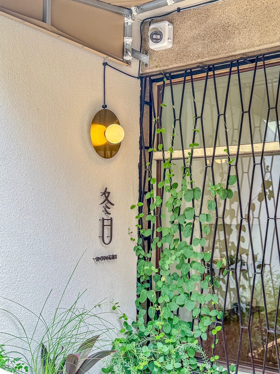 台南安平「冬日Dongri」巷弄中的網美老屋咖啡廳賣著中式家常料理,平日也要排隊候位的美味。 - 第6張圖