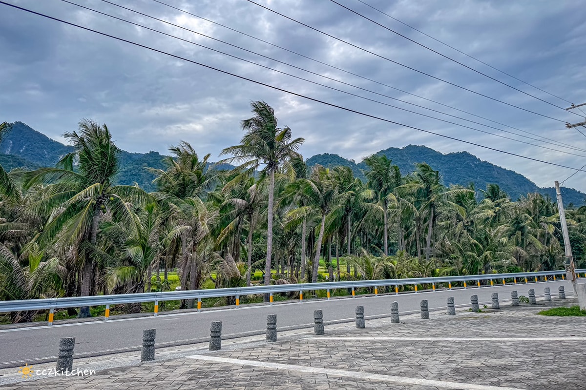 台東秘境景點「金樽陸連島貓洞」天然的貓咪海蝕洞!台灣唯一正在形成的陸連島,東海岸熱門IG打卡景點。 - 第8張圖