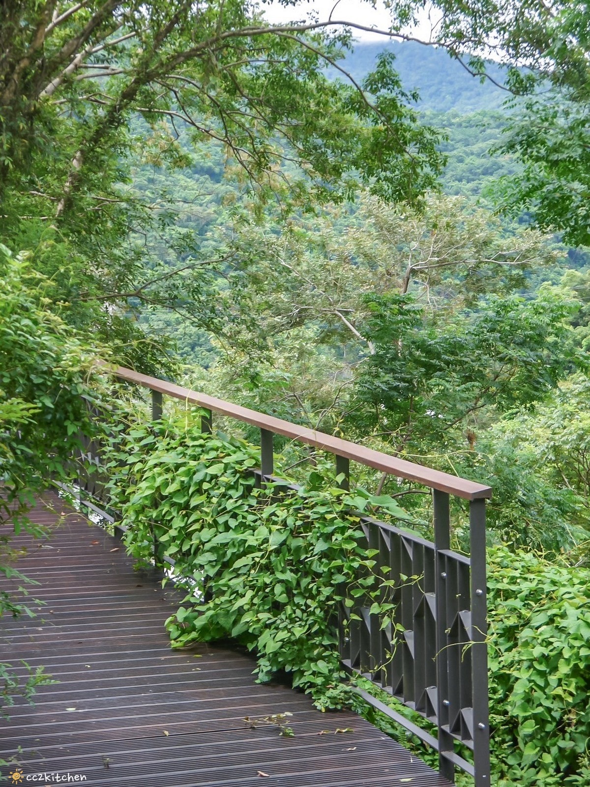 東部首間山林製造概念館咖啡廳!「虎比公寓-台東知本館」座落在台東知本國家森林遊樂區~在國家級森林公園裡眺望無敵山景,享受大自然沉靜與美好。 - 第49張圖