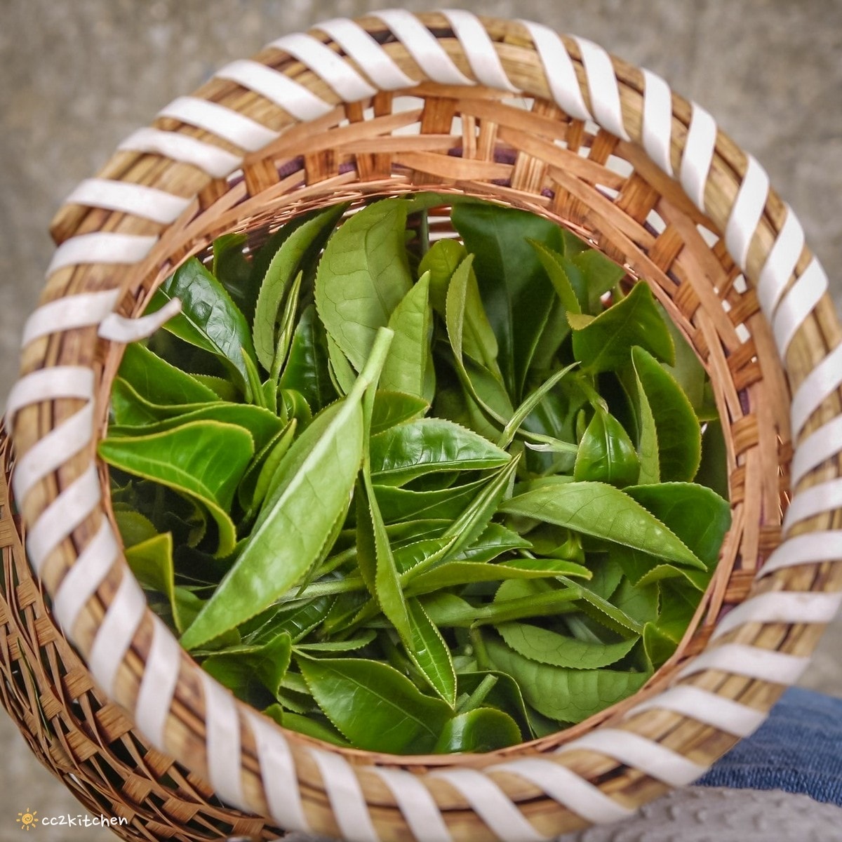【2026台東初鹿一日遊】初鹿美食景點旅遊指南～一日茶農採茶趣、藥草火鍋吃到飽、深山裡的柴燒陶藝、釋迦鑰匙圈DIY ！