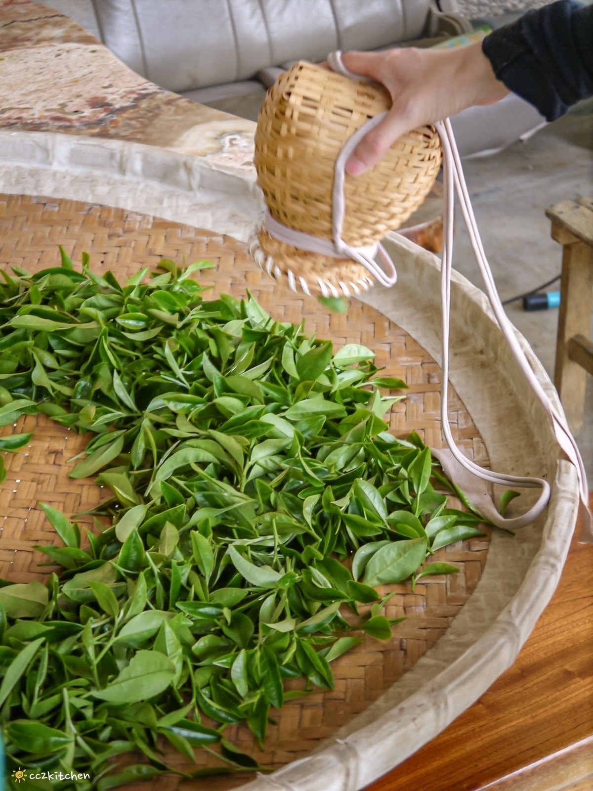 【2026台東初鹿一日遊】初鹿美食景點旅遊指南～一日茶農採茶趣、藥草火鍋吃到飽、深山裡的柴燒陶藝、釋迦鑰匙圈DIY ！