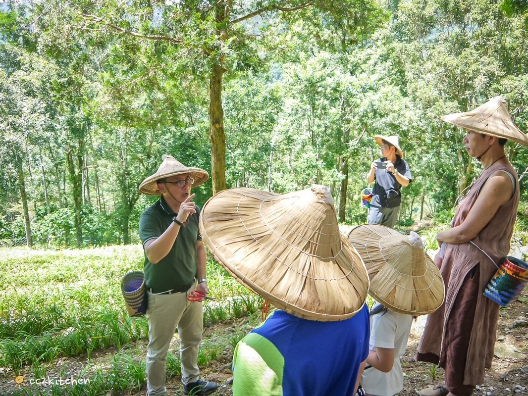 【2026台東太麻里金針山一日遊】金針山賞花秘境、森呼吸金針瑜珈、金針園採筍趣、水果茶凍DIY、大啖金針私房創意料理 ！