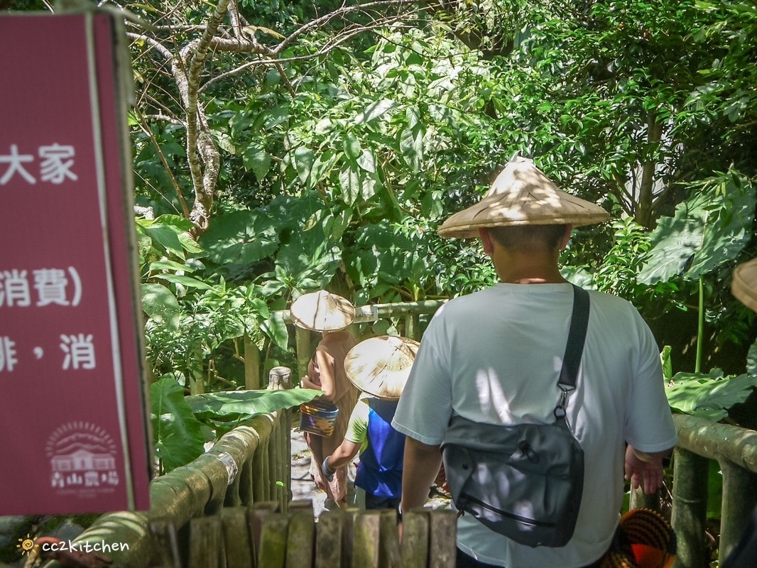 【2026台東太麻里金針山一日遊】金針山賞花秘境、森呼吸金針瑜珈、金針園採筍趣、水果茶凍DIY、大啖金針私房創意料理 ！