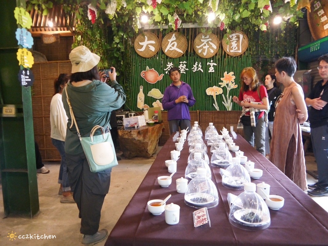 【2026台東太麻里金針山一日遊】金針山賞花秘境、森呼吸金針瑜珈、金針園採筍趣、水果茶凍DIY、大啖金針私房創意料理 ！