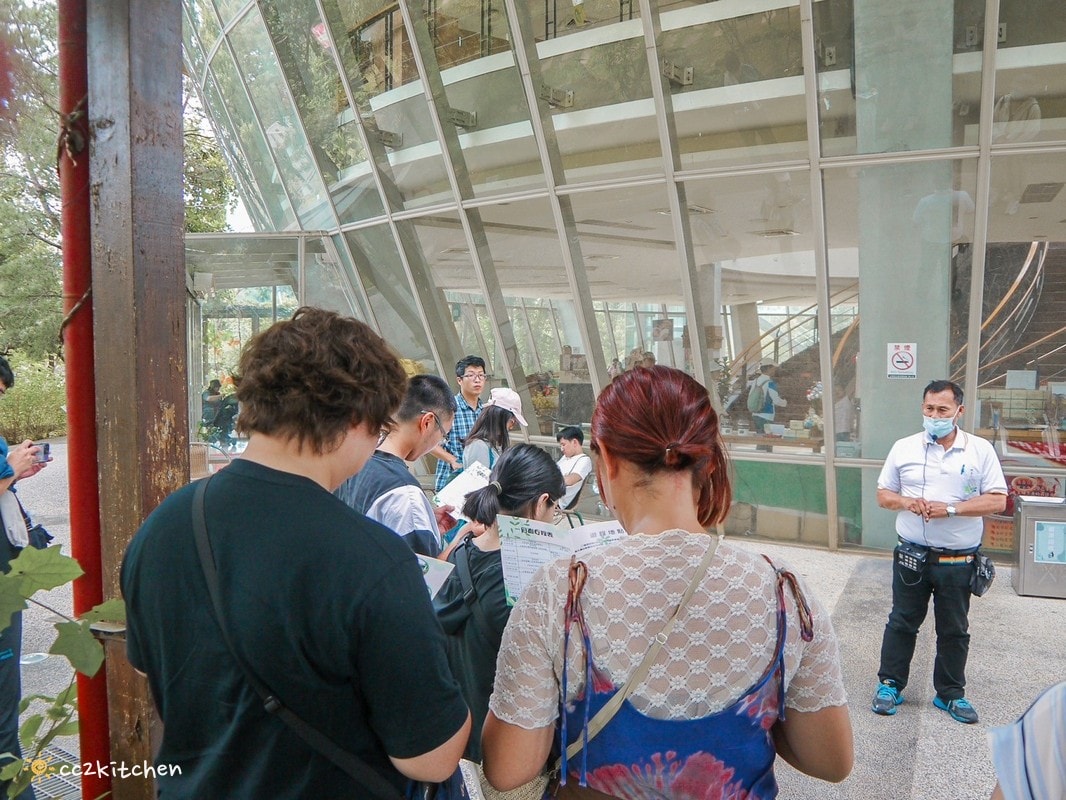 【2026台東初鹿一日遊】初鹿美食景點旅遊指南～一日茶農採茶趣、藥草火鍋吃到飽、深山裡的柴燒陶藝、釋迦鑰匙圈DIY ！
