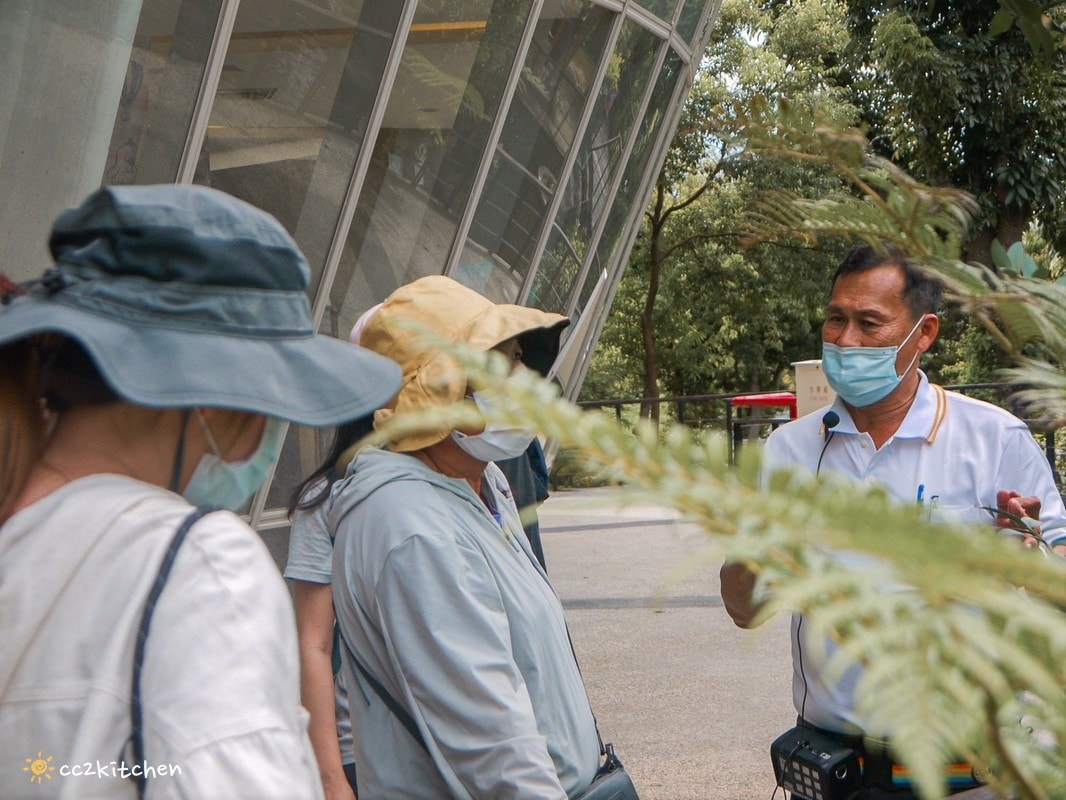 【2026台東初鹿一日遊】初鹿美食景點旅遊指南～一日茶農採茶趣、藥草火鍋吃到飽、深山裡的柴燒陶藝、釋迦鑰匙圈DIY ！