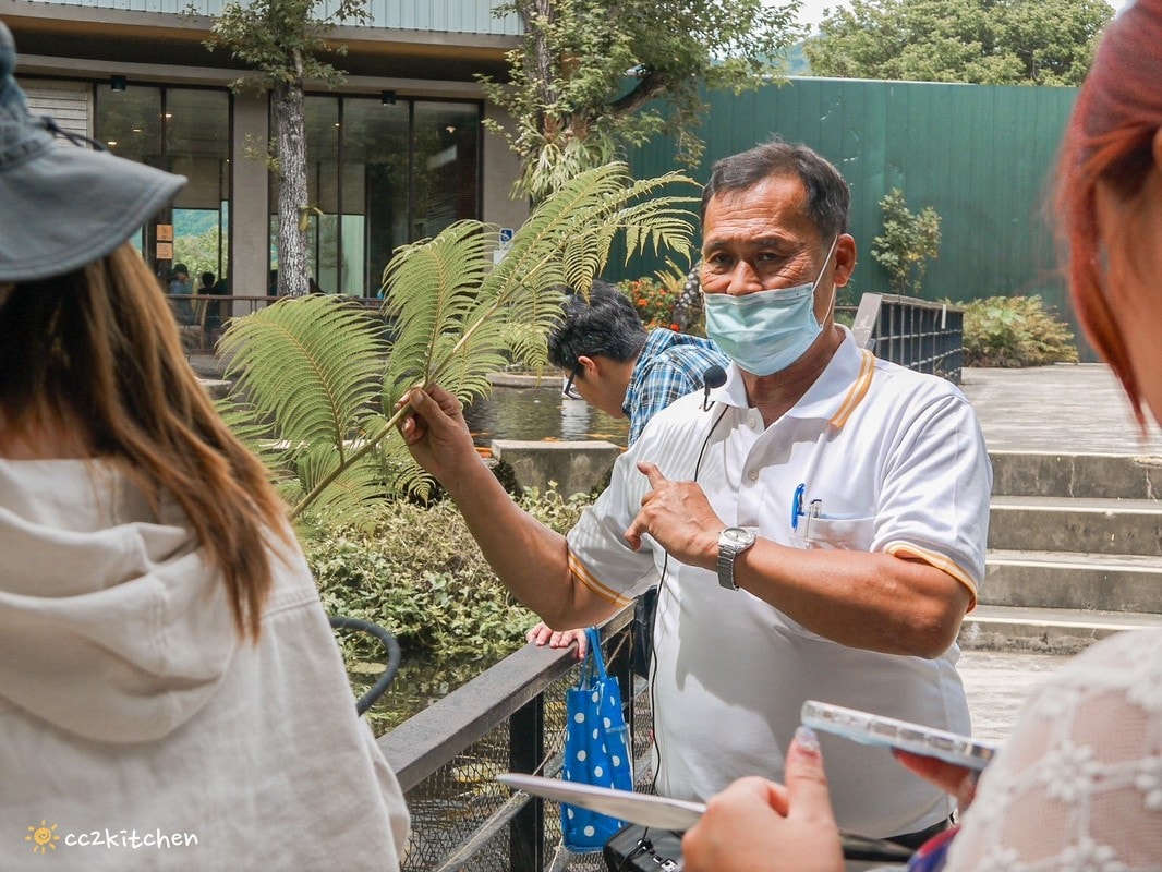 【2026台東初鹿一日遊】初鹿美食景點旅遊指南～一日茶農採茶趣、藥草火鍋吃到飽、深山裡的柴燒陶藝、釋迦鑰匙圈DIY ！