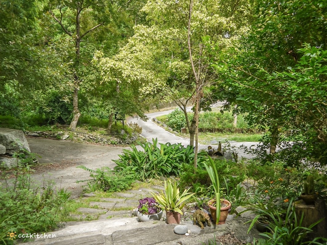 【2026台東初鹿一日遊】初鹿美食景點旅遊指南～一日茶農採茶趣、藥草火鍋吃到飽、深山裡的柴燒陶藝、釋迦鑰匙圈DIY ！