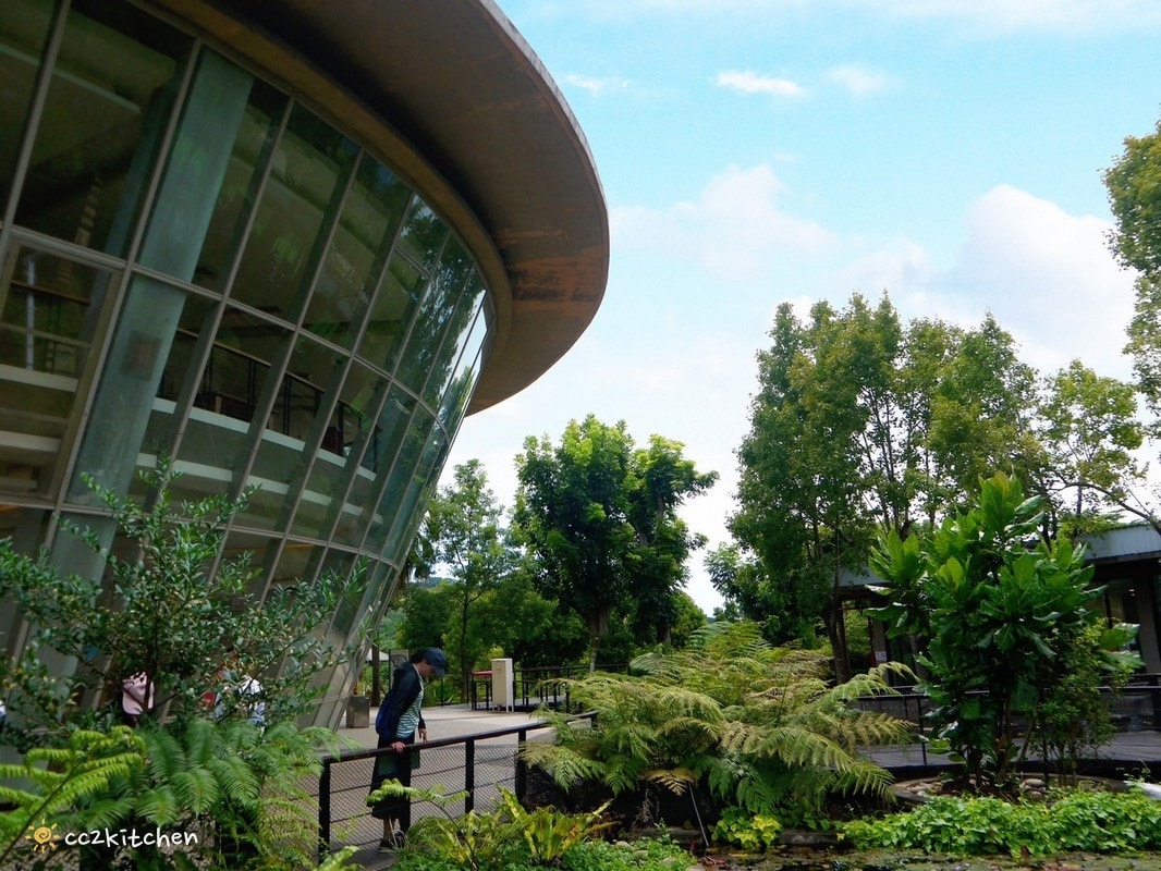 【2026台東初鹿一日遊】初鹿美食景點旅遊指南～一日茶農採茶趣、藥草火鍋吃到飽、深山裡的柴燒陶藝、釋迦鑰匙圈DIY ！