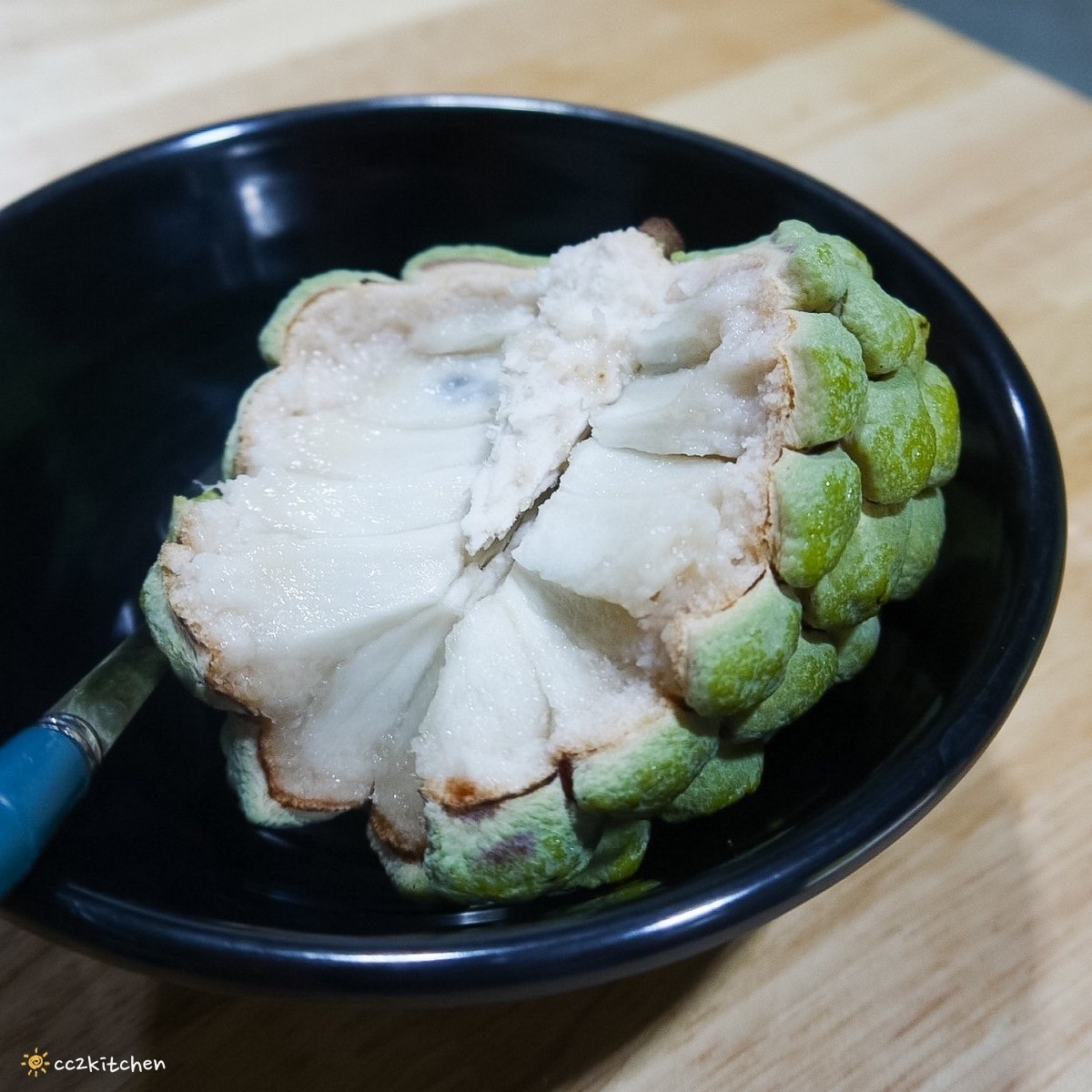 【2026台東初鹿一日遊】初鹿美食景點旅遊指南～一日茶農採茶趣、藥草火鍋吃到飽、深山裡的柴燒陶藝、釋迦鑰匙圈DIY ！