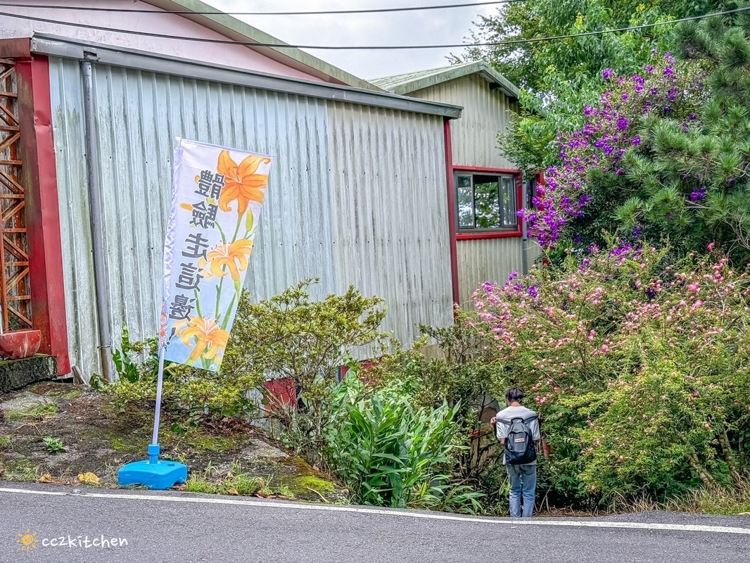 【2026台東太麻里金針山一日遊】金針山賞花秘境、森呼吸金針瑜珈、金針園採筍趣、水果茶凍DIY、大啖金針私房創意料理 ！