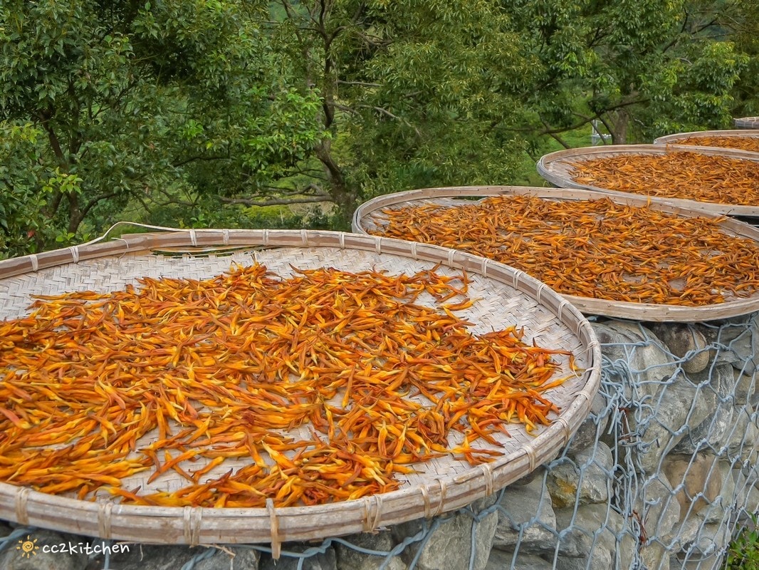 【2026台東太麻里金針山一日遊】金針山賞花秘境、森呼吸金針瑜珈、金針園採筍趣、水果茶凍DIY、大啖金針私房創意料理 ！