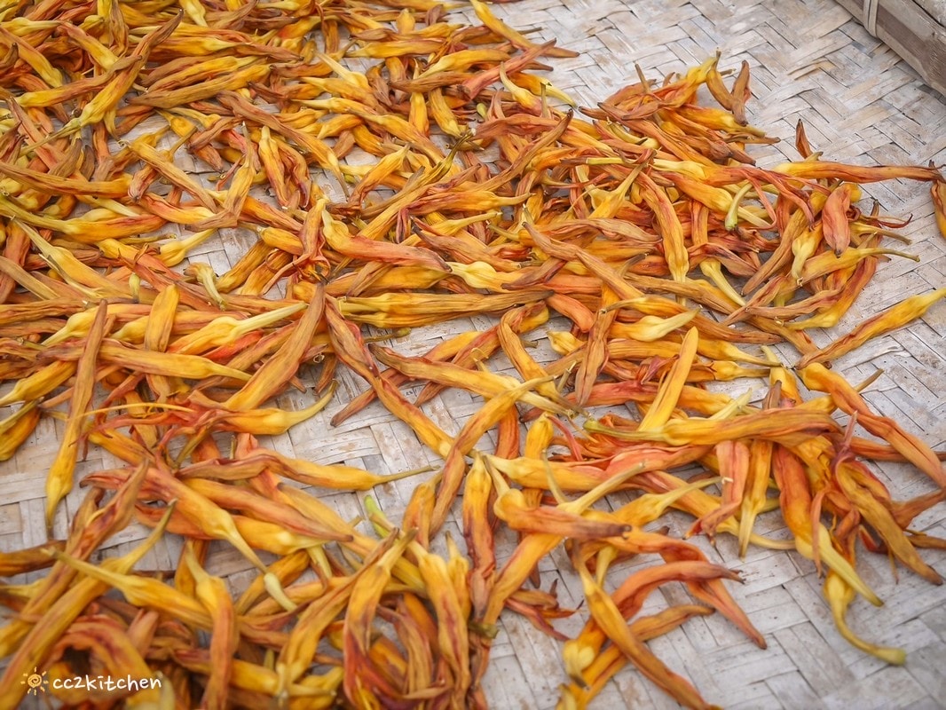 【2026台東太麻里金針山一日遊】金針山賞花秘境、森呼吸金針瑜珈、金針園採筍趣、水果茶凍DIY、大啖金針私房創意料理 ！